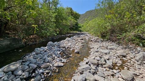 Continúa bajando el caudal del río El Tala