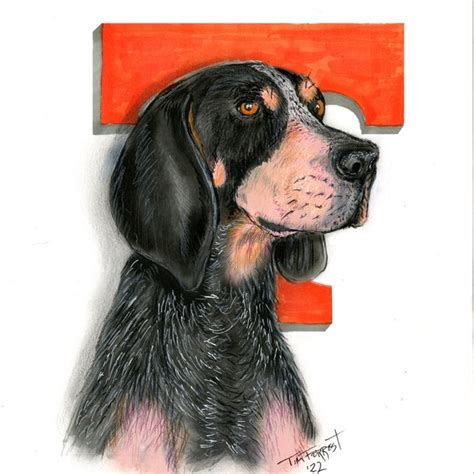 Smokey Dog Mascot - Etsy