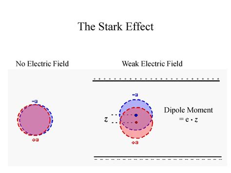 Computer Simulations Of Ppt Download