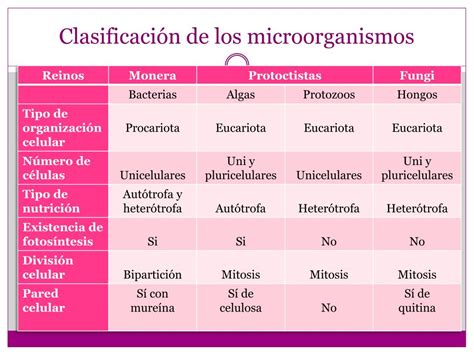 Clasificacion De Los Microorganismos