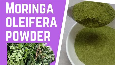 How To Make Moringa Powder At Home Organic Moringa Oleifera Powder