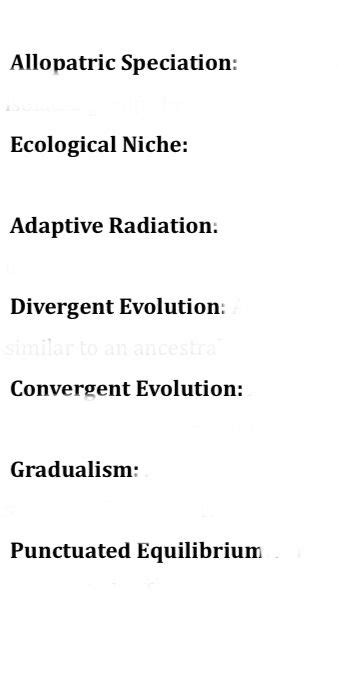 Answered Allopatric Speciation Ecological Bartleby