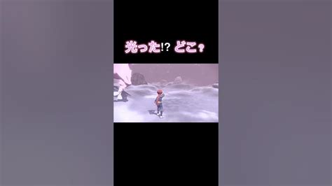 自然遭遇でオヤブン色違いが出た！ Pokémon Shorts 大大大発生 Youtube