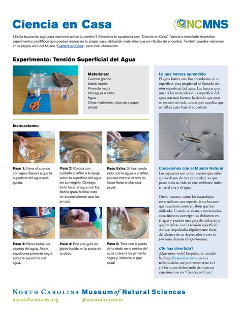 Ciencia En Casa Tensi N Superficial Del Agua Ciencia En Casa Est S