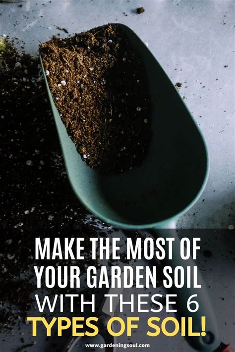 Make the Most of Your Garden Soil With These 6 Types Of Soil!