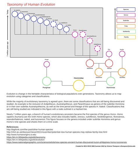 Taxonomy of Human Evolution | Figma