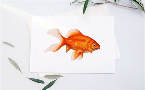 Goldfish Drawing