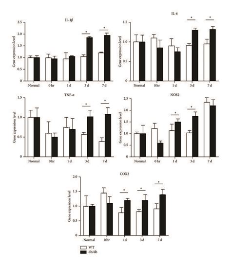 Qrt Pcr Analysis Of Inflammatory Markers After Noise Exposure