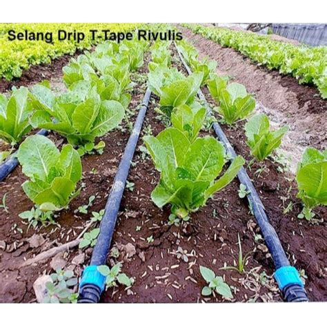 Jual Silahkan Order Selang T Tape Drip Tetes Jarak Cm Rivulis