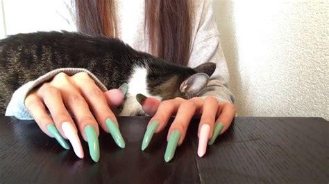 Tapping And Scratching Natural Long Nails Asmr 🎧👂🍬🐈 Youtube