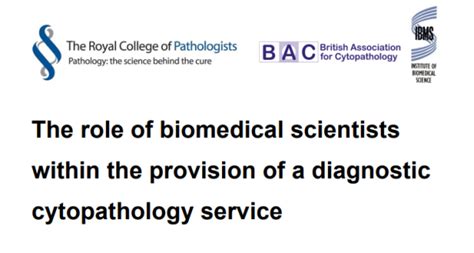 The Role Of Biomedical Scientists Within The Provision Of A Diagnostic