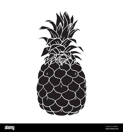 Pineapple Vector Illustration Of Pineapple Tropical Fruit Black And White Graphic Pineapple