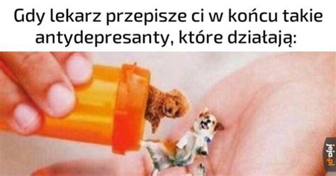 Cukrzyca 52 Najlepszych Memów Jeja pl