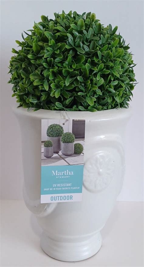 Martha Stewart Topiary Kissing Ball Fern Boxwood Spring Summer Easter