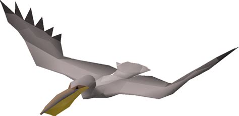 Pelican Osrs Wiki