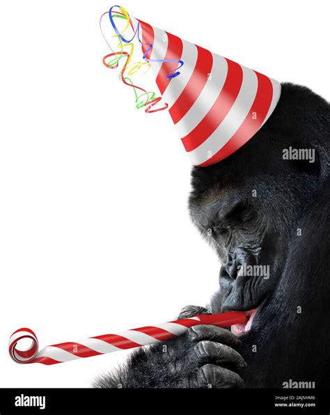 Gorilla Party Animal With A Striped Birthday Hat And Noisemaker Horn