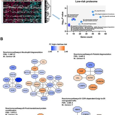 Proteomic Differences Between High Risk And Low Risk Patients The