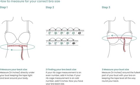 How To Measure Bra Size? Uncover Your Perfect Fit - Measure Tutor