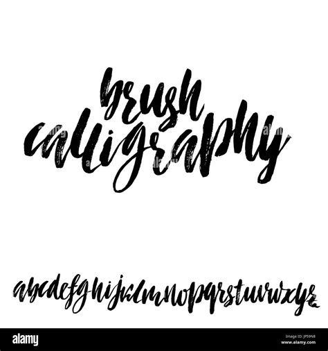 Hand Drawn Elegant Calligraphy Font Modern Brush Lettering Grunge Style Alphabet Vector