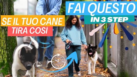 Come farò a far SMETTERE di TIRARE questo cane AGITATO al guinzaglio