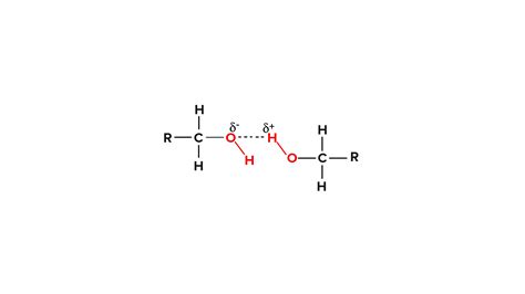 Hydrogen bonding is maximum in