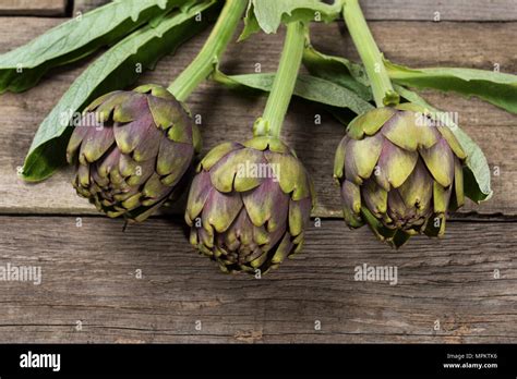 Artichoke Vegetable Natural Look On Wooden Floor Stock Photo Alamy