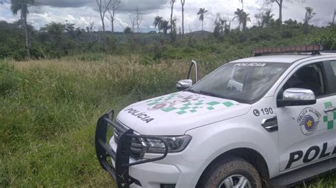 Rio Pardenses S O Multados Pela Pol Cia Ambiental Por Destruir