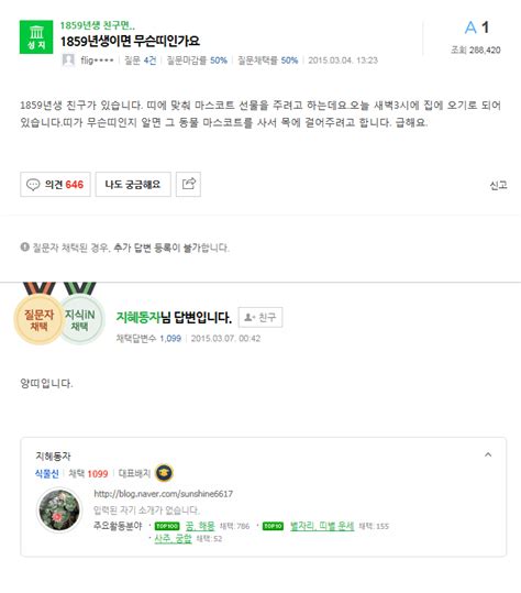 네이버 지식인 소름 모음 인스티즈instiz 이슈 카테고리