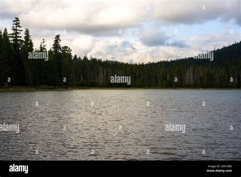 beautiful natural landscape   lake view   forest stock