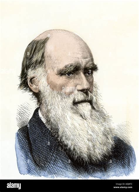 Charles Darwin Portrait Hi Res Stock Photography And Images Alamy