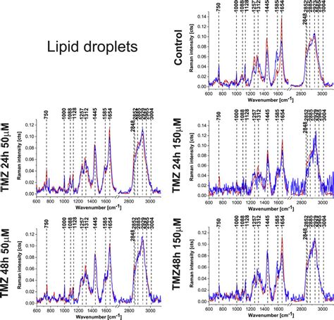 The Average Raman Spectra Obtained From The Cluster Analysis For Lipid