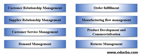 Supply Chain Management Process | 8 Amazing Strategy To learn