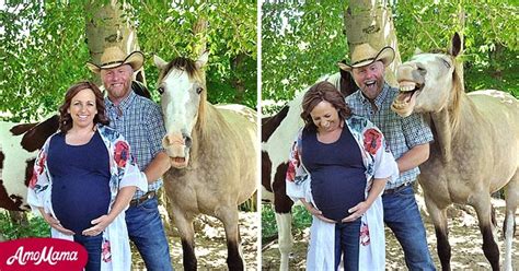 Horse Photobombs Couple's Maternity Photo Shoot, Their Reaction Is Priceless