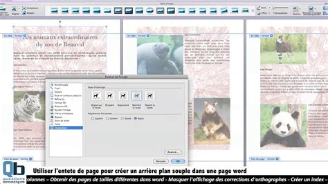 Introducir Imagen Comment Ins Rer Une Image En Fond Sur Word Fr