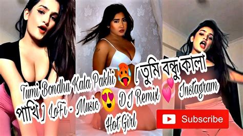 Tumi Bondhu Kala Pakhi তম বনধ কল পখ LoFi Music DJ