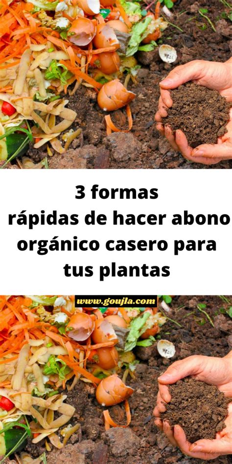 Formas R Pidas De Hacer Abono Org Nico Casero Para Tus Plantas