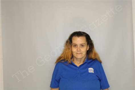 Christina Collins Hall County Jail Bookings