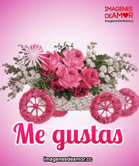 Arreglo De Rosas Rosadas Y Frase Me Gustas Imágenes De Flores