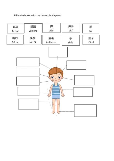 Body Parts Interactive And Downloadable Worksheet You Can Do The