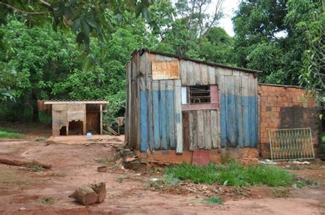 Idoso Atacado Por Abelhas Enquanto Limpava Quintal Na Vila Morumbi