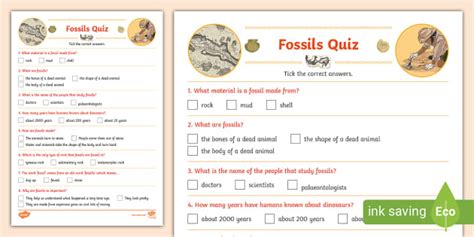 Fossils Quiz Teacher Made Twinkl