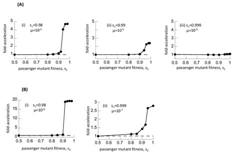 Accelerated Evolution Through Passenger Mutations In The Moran Process