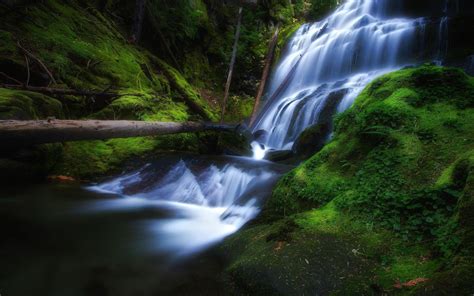 Fondos De Pantalla Paisaje Bosque Cascada Naturaleza Río Selva