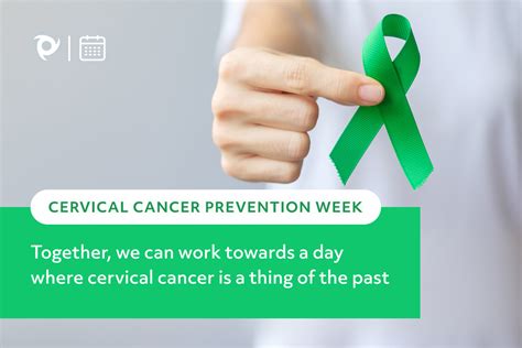 Understanding Cervical Cancer Prevention Tips Nbkomputer