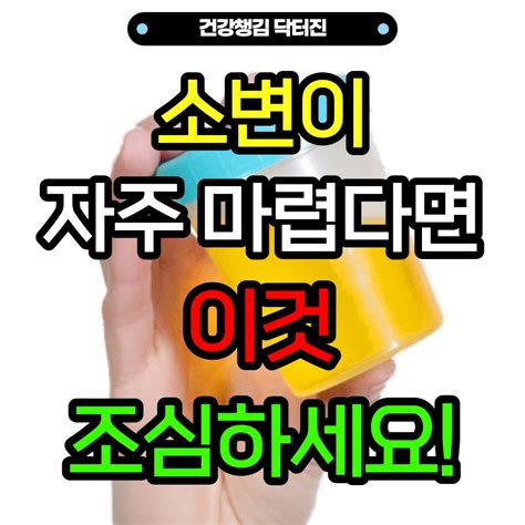 소변이 자주마렵다면 이것조심하시고 건강챙기세요👍 건강정보 건강챙김닥터진 건강꿀팁 건강챙김 건강상식팁