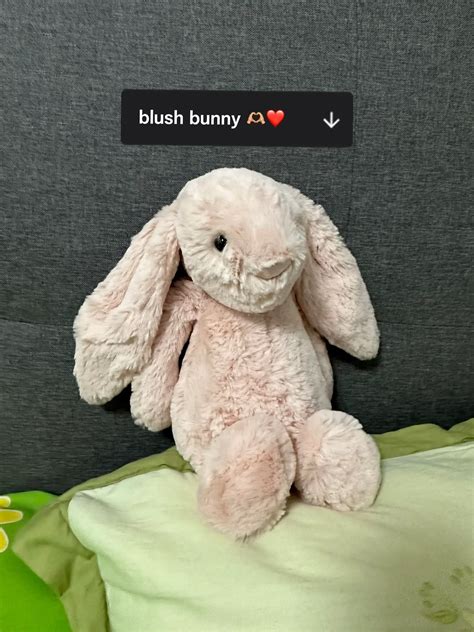 I Found My Dream Jellycat Bunny 🥹 Gallery Posted By Jing Lemon8