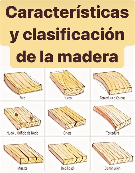 Caracter Sticas Y Clasificaci N De La Madera Civilgeeks