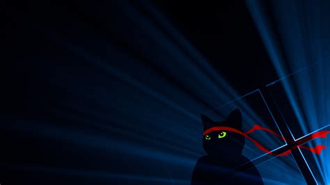 Ninja Cat 4k Wallpaper,HD Artist Wallpapers,4k Wallpapers,Images,Backgrounds,Photos and Pictures