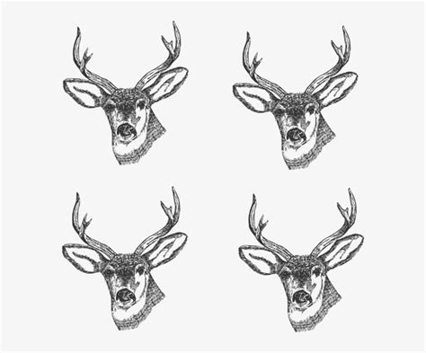 Buck clipart 8 point buck, Buck 8 point buck Transparent FREE for ...