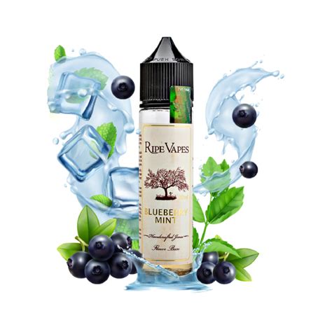 Ripe Vapes Blueberry Mint Ml Steamers